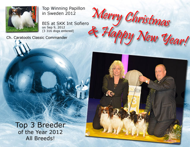 Merry Christmas & Happy New Year