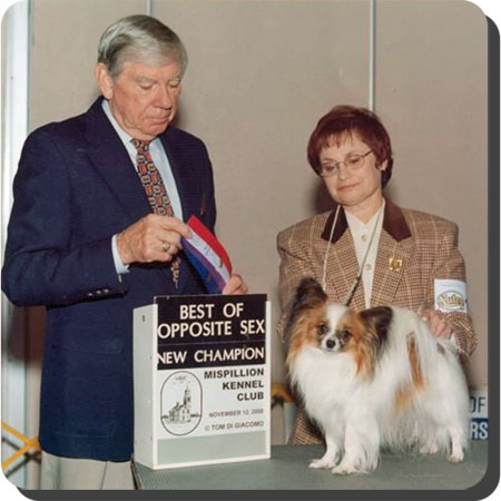 Ch. Caratoots Crowned Companion