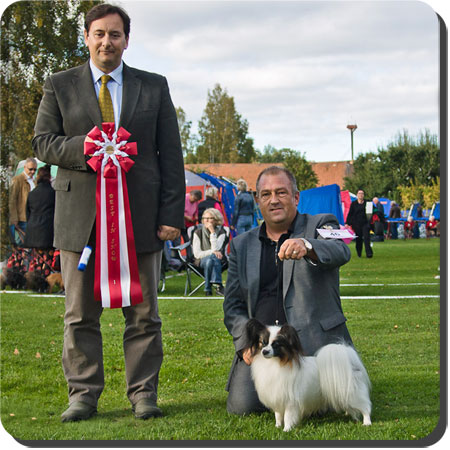 Ch. Caratoots Complete Coronation
