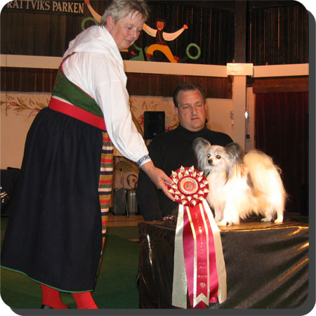 Ch. Caratoots Convince Chantalle
