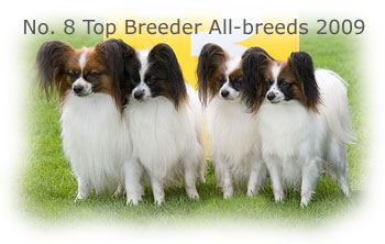 Kennel Caratoots - No 8 Top Breeder All-breeds 2009