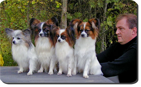 Four generations of Caratoots: Ch Caratoots Convince Chantalle, Ch Caratoots Captain Courageous, Ch Caratoots Classic Confidence, Caratoots Complete Coronation with breeder Kaj Gnger