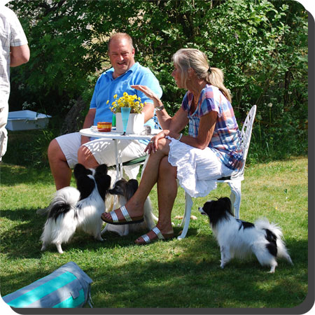 Papillon Play Day at Caratoots