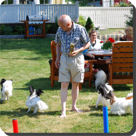 Papillon Play Day at Caratoots