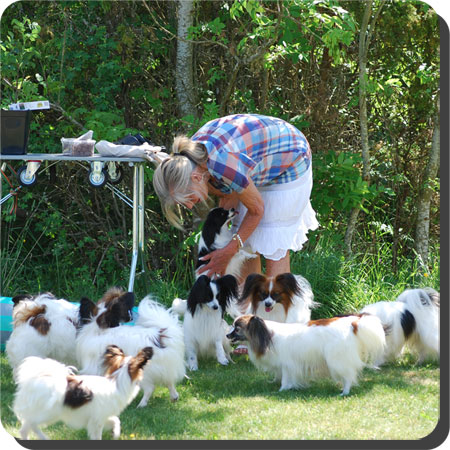 Papillon Play Day at Caratoots