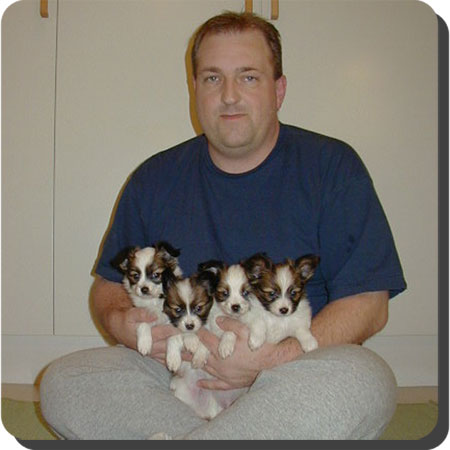 Caratoots puppies
