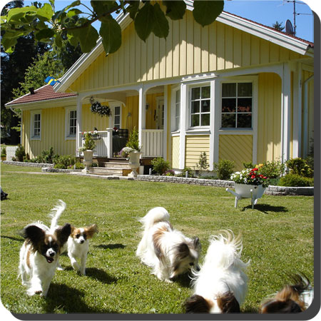 Villa Caratoots